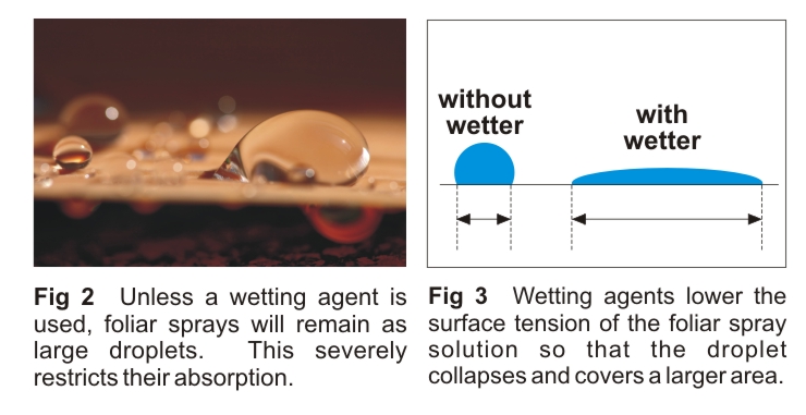 foliar-wetting-agents