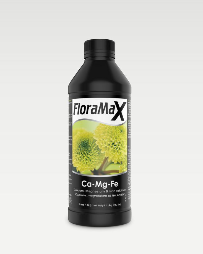 Ca-Mg-Fe