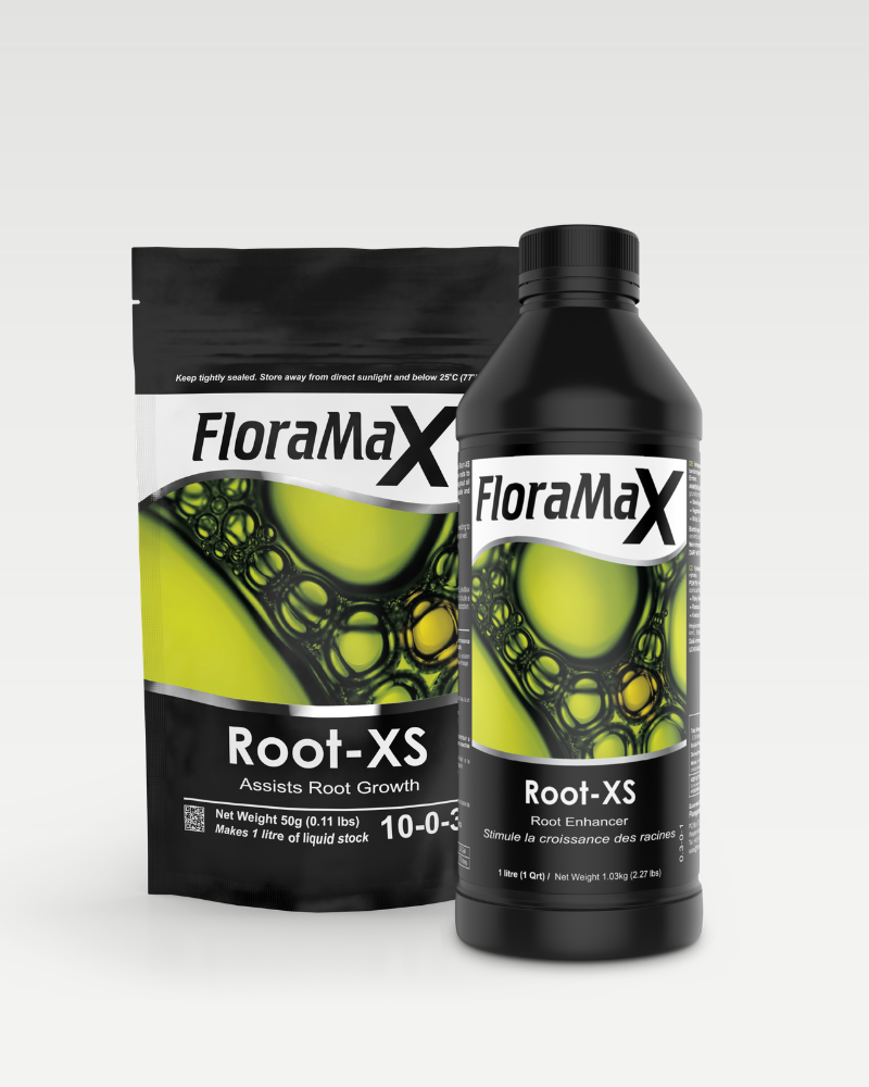 Root-XS™