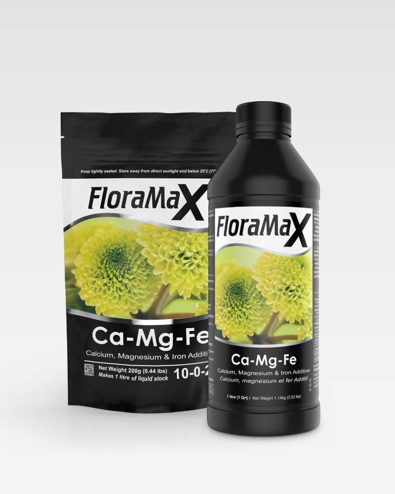 Ca-Mg-Fe
