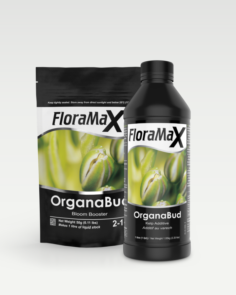 OrganaBud